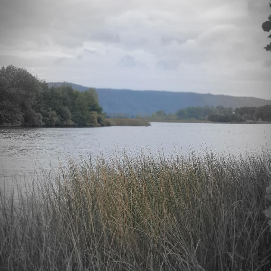 Cabanas Rosner Valdivia Bagian luar foto