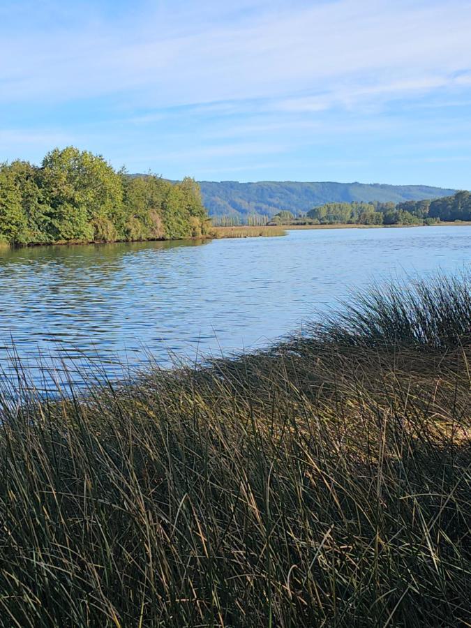 Cabanas Rosner Valdivia Bagian luar foto
